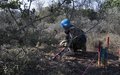 Keeping peace, through demining