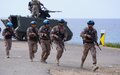 The Logic behind Joint Live Fire Exercises