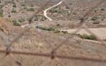 Unique localized solution in Blida to avoid tensions during ‘olive season’
