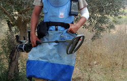 UNIFIL's demining activities.