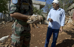 UNIFIL Veterinary doctor Lt. Col. Sharma visiting a small chicken farm in Kafer Chouba.