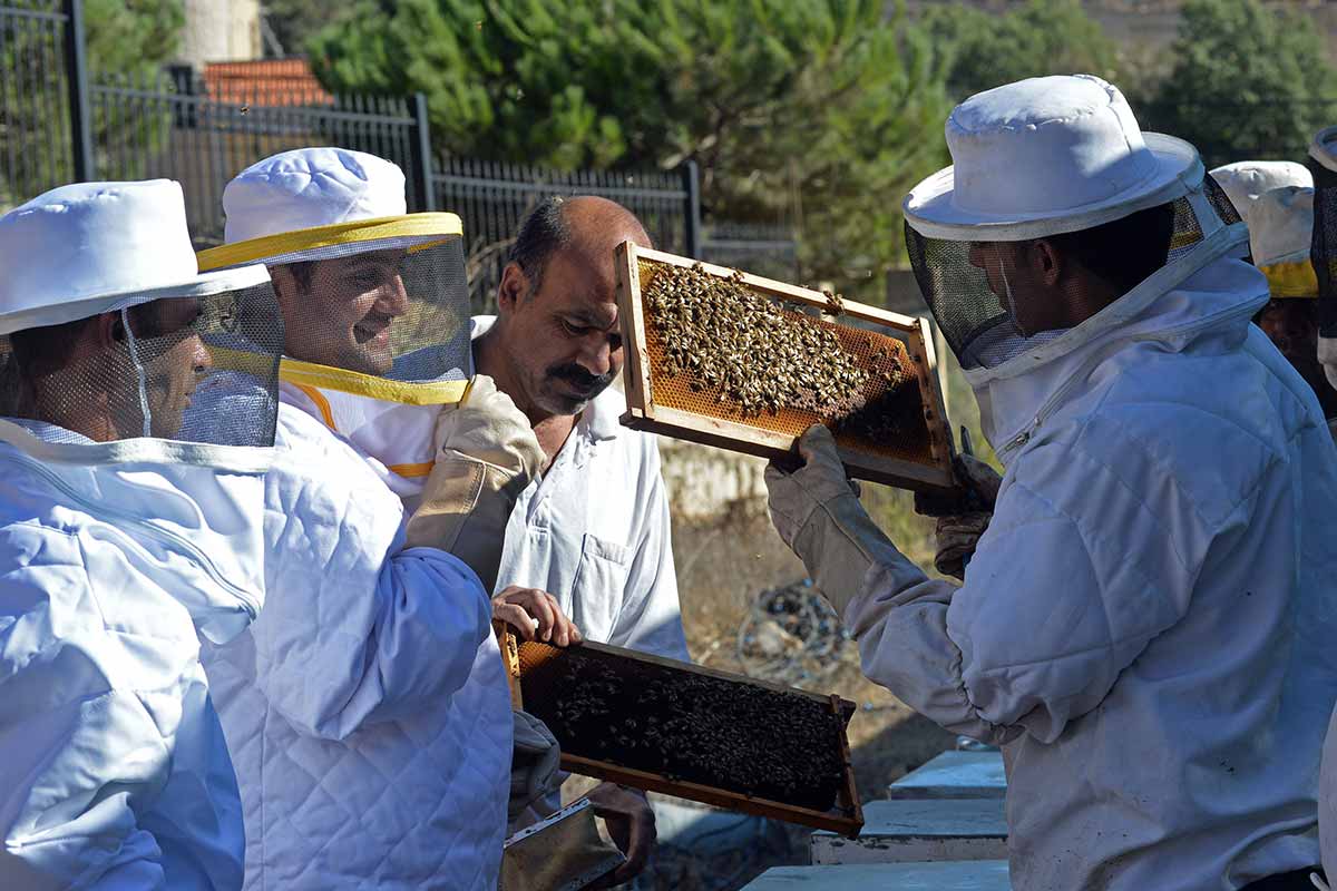 Community engagement - beekeepers