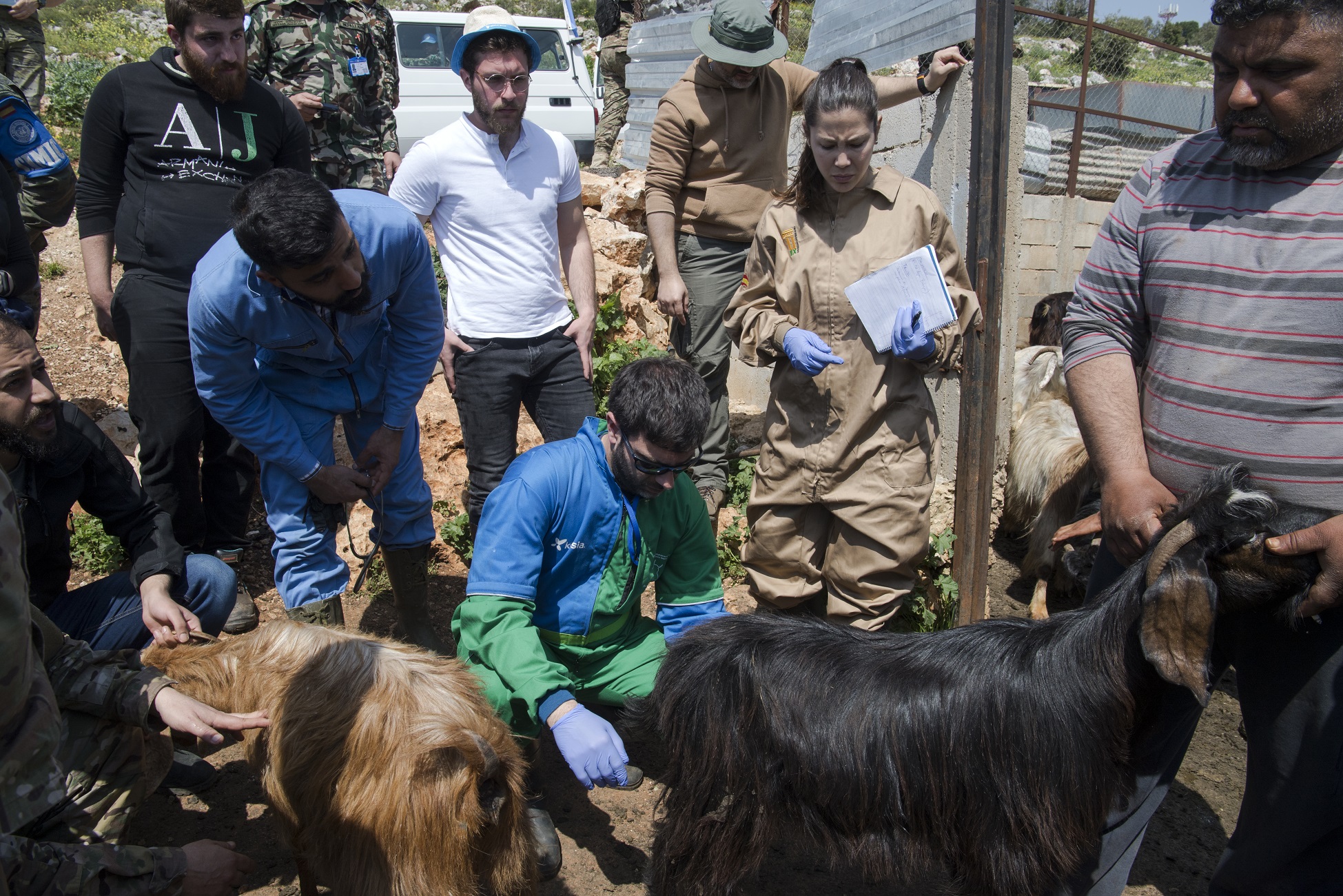 Spanish veterinary experts work with Lebanese students to assist