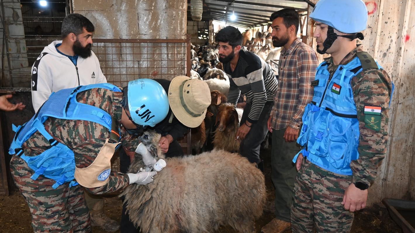 A UN peacekeeper veterinarian inspecting a sheep while other peacekeepers and civilians look on