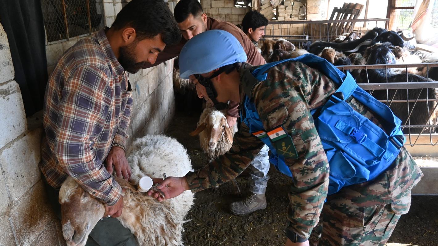 A civilian holding a sheep as a peacekeeper veterinarian provides a bottle of milk for the sheep into its mouth