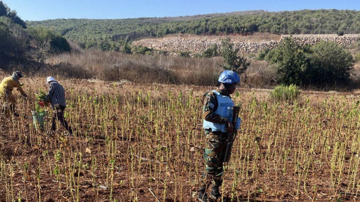 Protecting harvests, supporting livelihoods in south Lebanon Protecting harvests, supporting livelihoods in south Lebanon