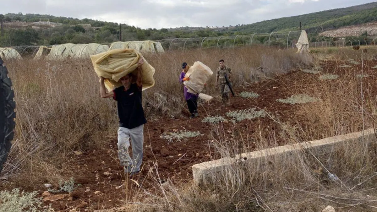 Protecting harvests, supporting livelihoods in south Lebanon Protecting harvests, supporting livelihoods in south Lebanon