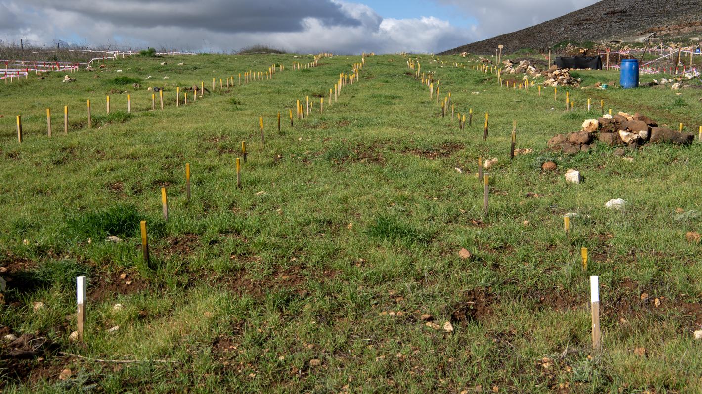 Handover of cleared minefields in Maroun al-Ras to the LAF