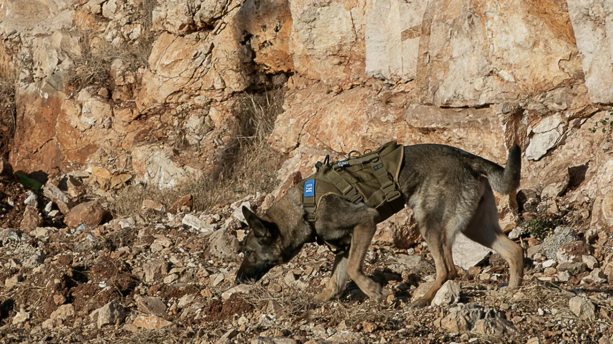 UNIFIL stays the course despite violence