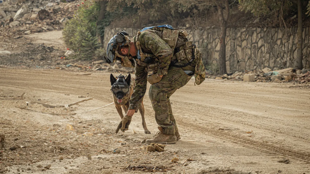 Peacekeepers help make routes safer by neutralizing explosive hazards