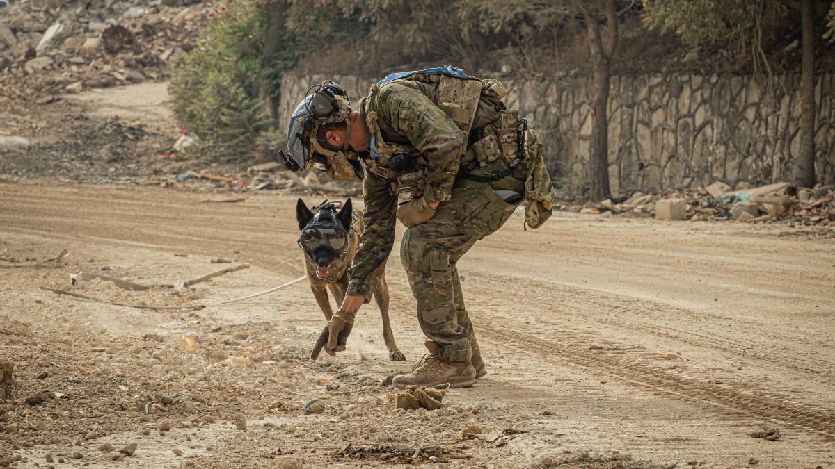 Peacekeepers help make routes safer by neutralizing explosive hazards 