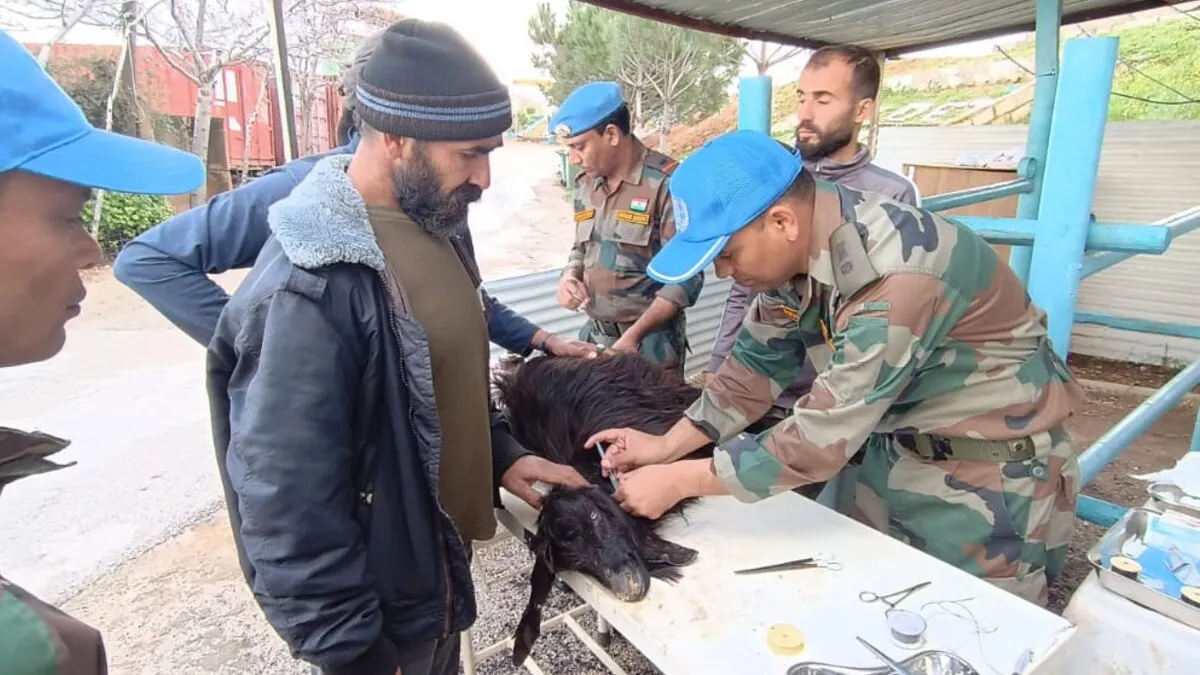 UNIFIL Indian vets treat livestock caught in exchanges of fire
