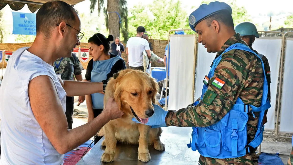 Indian peacekeepers vaccinate animals to keep pets and people safe