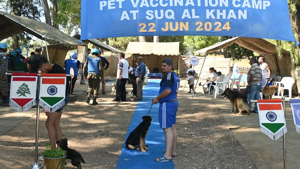 Indian peacekeepers vaccinate animals to keep pets and people safe