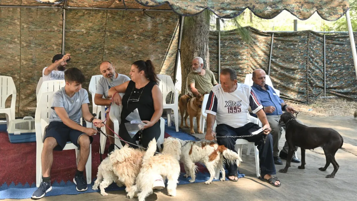 Indian peacekeepers vaccinate animals to keep pets and people safe