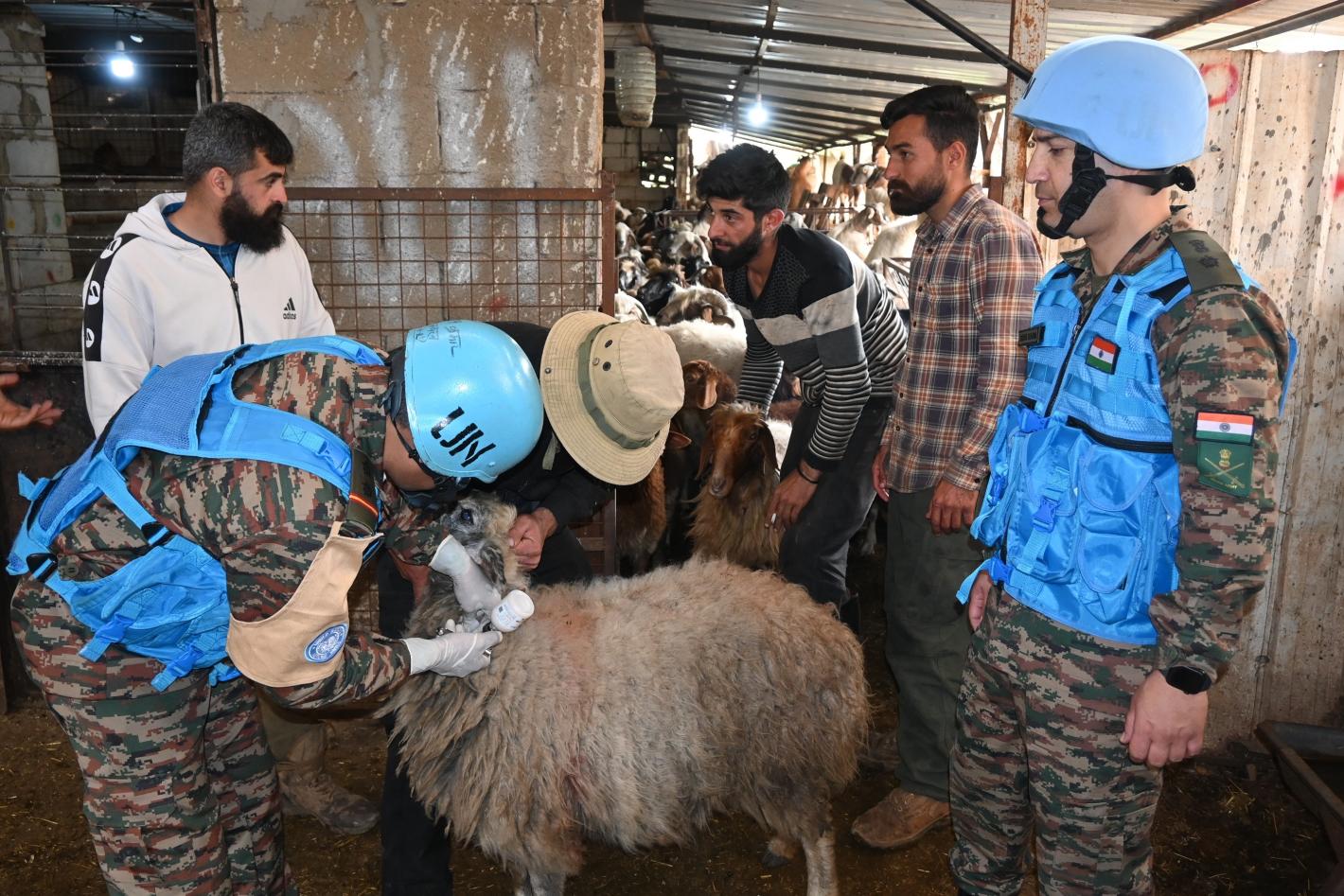 A UN peacekeeper veterinarian inspecting a sheep while other peacekeepers and civilians look on