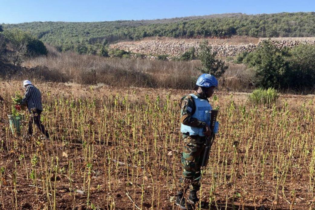 Protecting harvests, supporting livelihoods in south Lebanon Protecting harvests, supporting livelihoods in south Lebanon