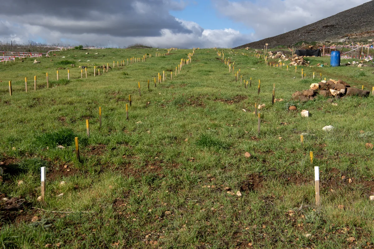 Handover of cleared minefields in Maroun al-Ras to the LAF