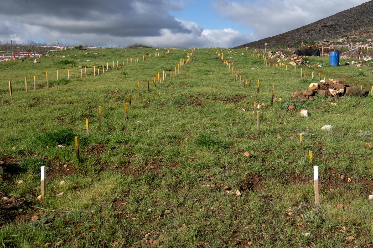 Handover of cleared minefields in Maroun al-Ras to the LAF