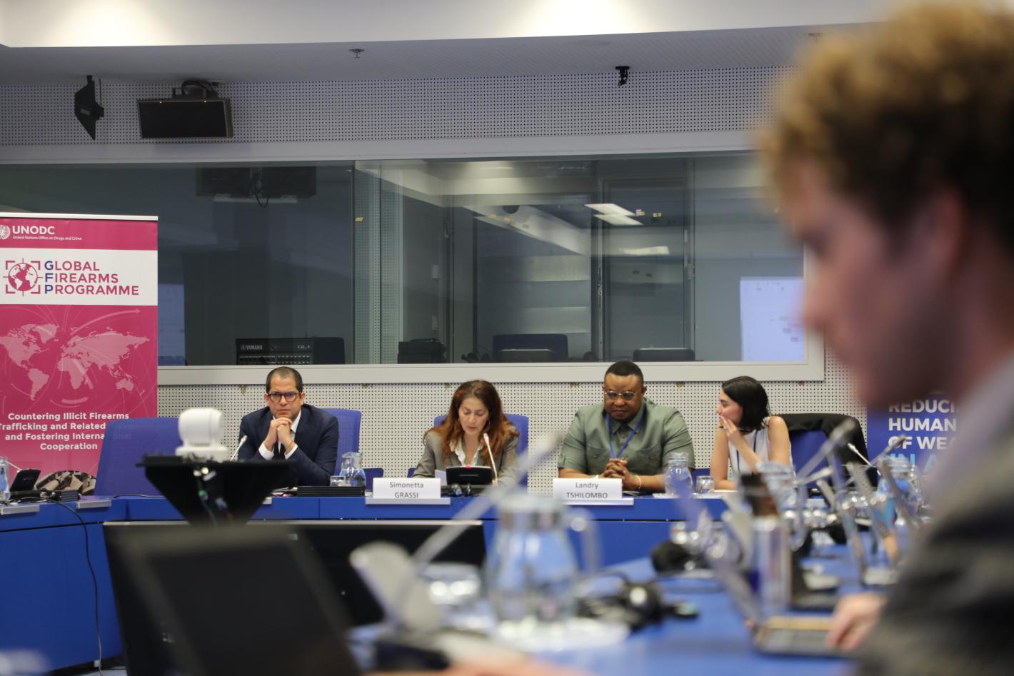 SALW Side Event 