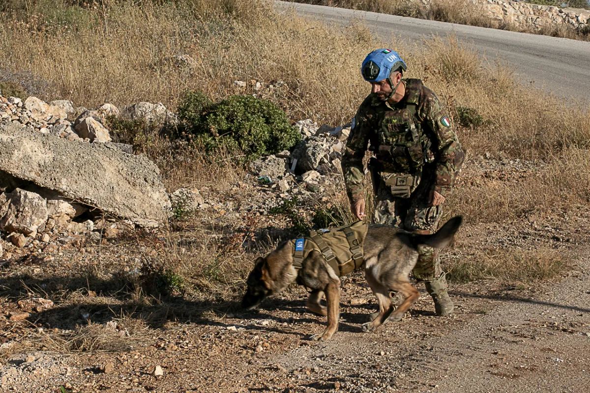 Life-saving operations