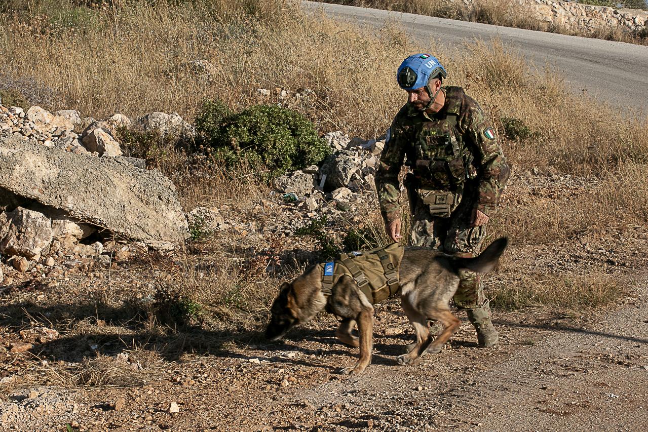 Life-saving operations