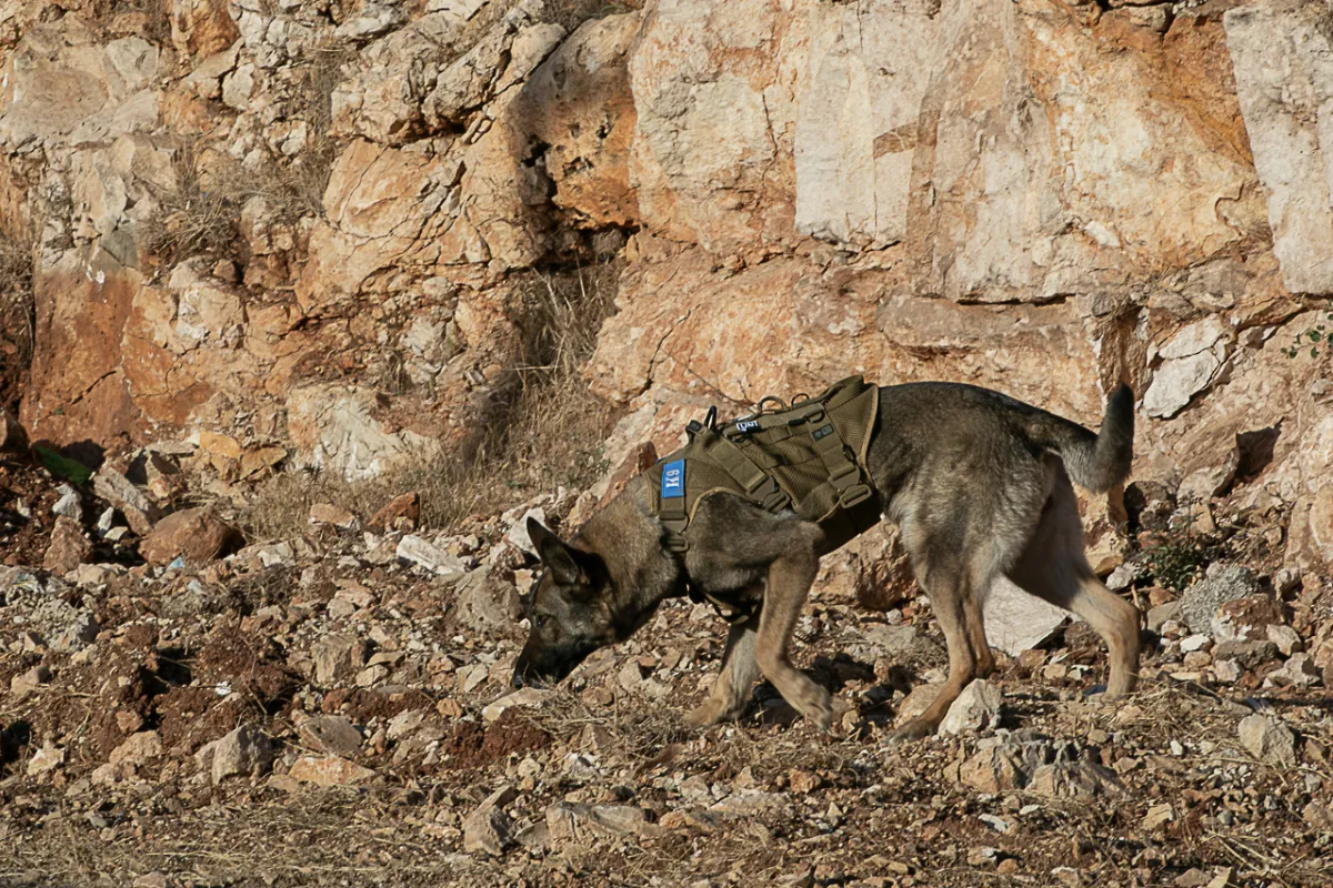 UNIFIL stays the course despite violence