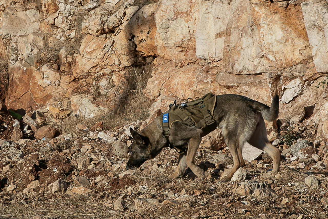 UNIFIL stays the course despite violence