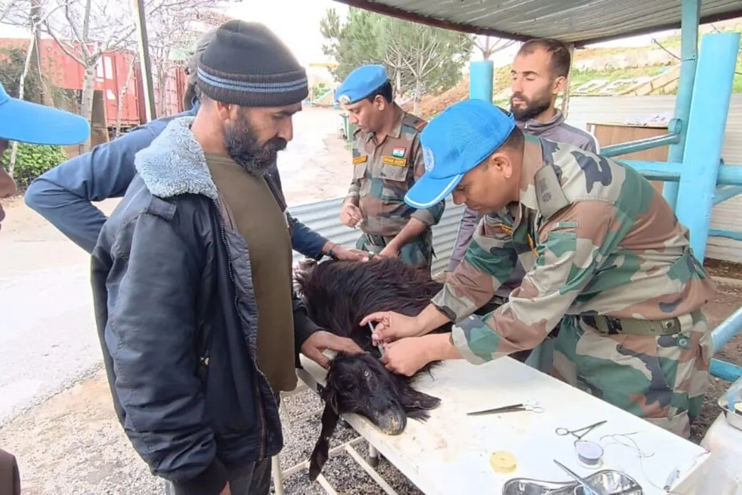 UNIFIL Indian vets treat livestock caught in exchanges of fire