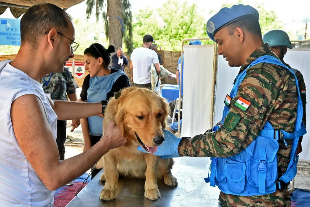 Indian peacekeepers vaccinate animals to keep pets and people safe