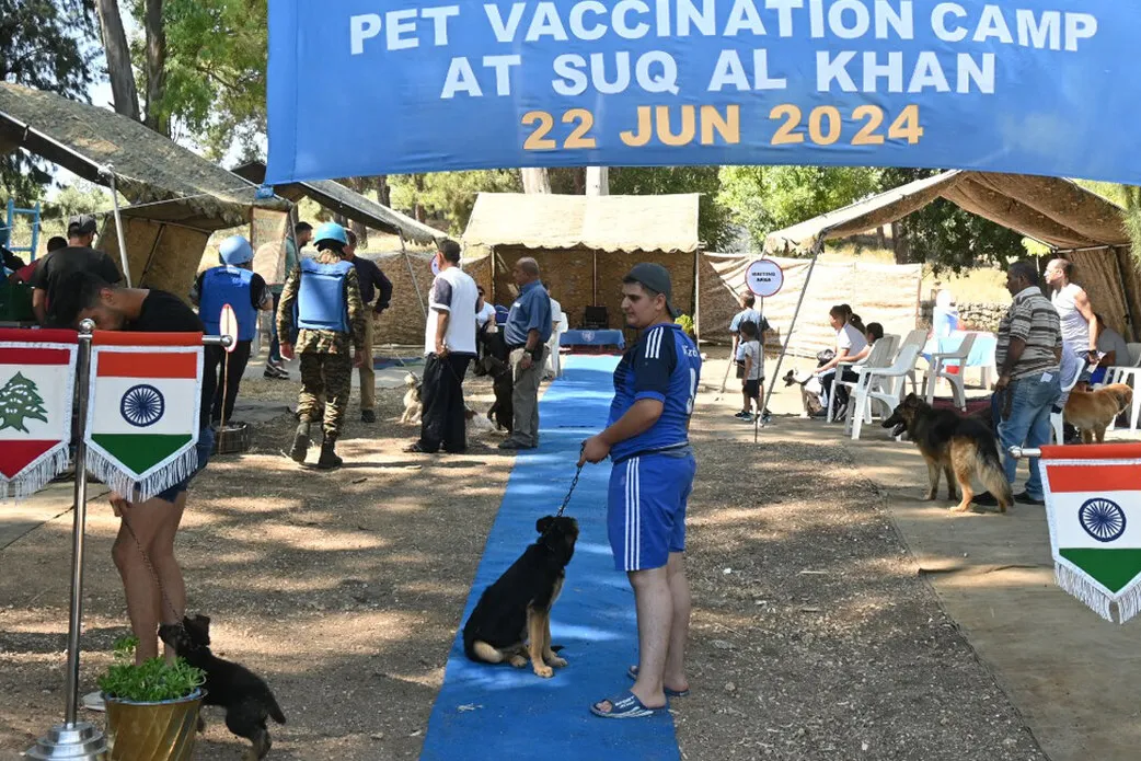 Indian peacekeepers vaccinate animals to keep pets and people safe