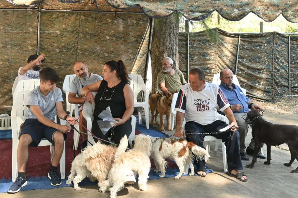 Indian peacekeepers vaccinate animals to keep pets and people safe