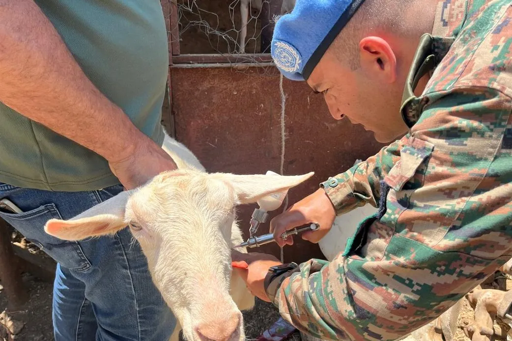 Indian peacekeepers support local farmers against foot-and-mouth disease