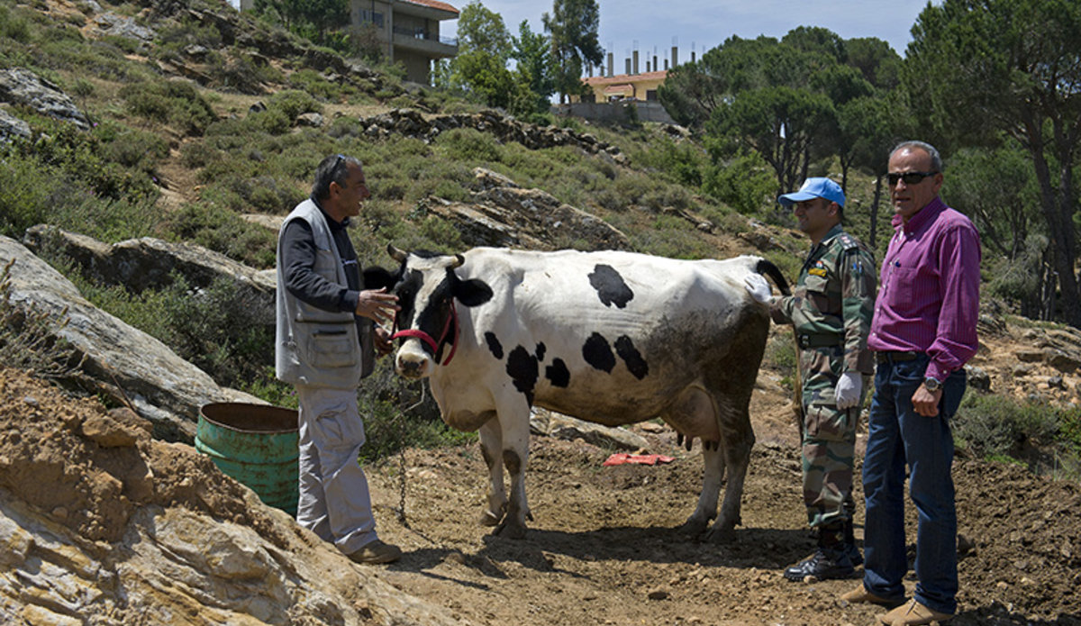 Lebanon veterinary 2025