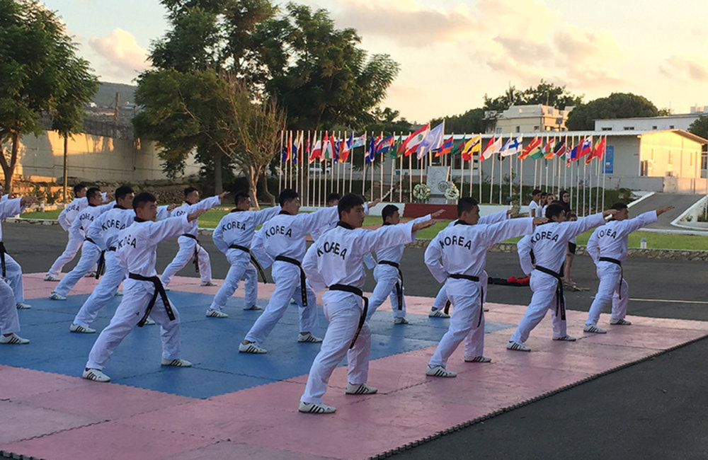 Korean contingent (ROKBATT) performing Tae-Kwon Do during International Day of Peace ceremony at UNIFIL HQ in Naqoura. 