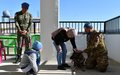 Employing dogs, UNIFIL peacekeepers help children with learning disabilities