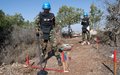 اليونيفيل ودائرة الأمم المتحدة للإجراءات المتعلقة بالألغام يحتفيان بشراكتهما في إزالة الألغام في جنوب لبنان