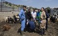 Spanish veterinary experts work with Lebanese students to assist livestock farmers