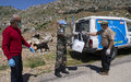 Indian peacekeepers offer veterinary support to host communities