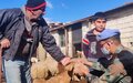 Indian veterinary assistance benefits local shepherds